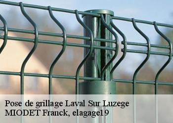 Pose de grillage  laval-sur-luzege-19550 MIODET Franck, elagage19