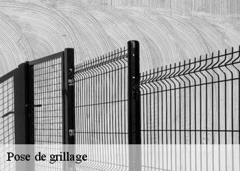 Pose de grillage  19510