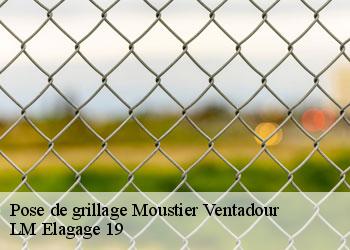 Pose de grillage  moustier-ventadour-19300 LM Elagage 19