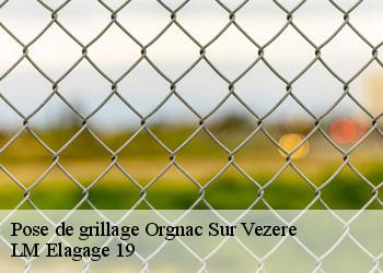 Pose de grillage orgnac-sur-vezere-19410 LM Elagage 19