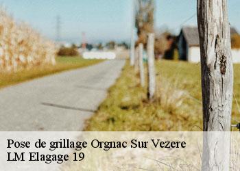 Pose de grillage 19410