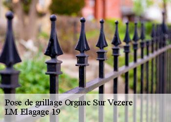 Pose de grillage 19410