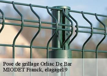 Pose de grillage  orliac-de-bar-19390 MIODET Franck, elagage19