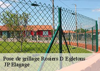 Pose de grillage rosiers-d-egletons-19300 JP Elagage