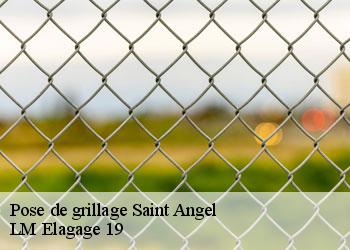 Pose de grillage saint-angel-19200 LM Elagage 19