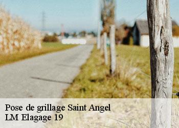 Pose de grillage 19200
