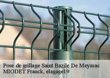 Pose de grillage  saint-bazile-de-meyssac-19500 MIODET Franck, elagage19
