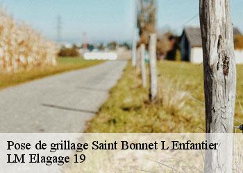 Pose de grillage 19410