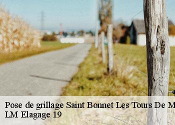 Pose de grillage 19430