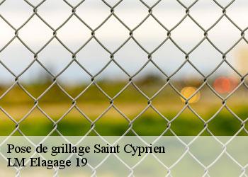 Pose de grillage saint-cyprien-19130 LM Elagage 19
