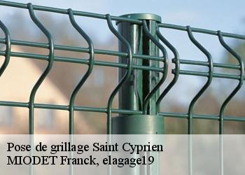 Pose de grillage  saint-cyprien-19130 MIODET Franck, elagage19