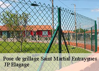 Pose de grillage  saint-martial-entraygues-19400  JP Elagage
