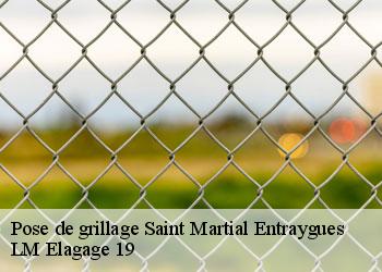 Pose de grillage saint-martial-entraygues-19400 LM Elagage 19