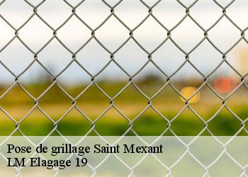 Pose de grillage saint-mexant-19330 LM Elagage 19