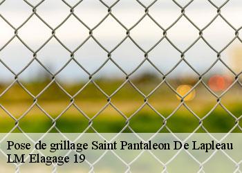 Pose de grillage saint-pantaleon-de-lapleau-19160 LM Elagage 19