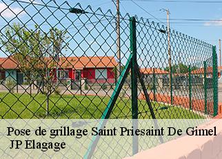 Pose de grillage saint-priesaint-de-gimel-19800 JP Elagage