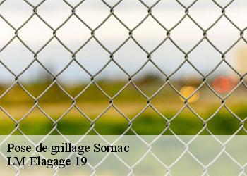 Pose de grillage sornac-19290 LM Elagage 19