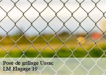 Pose de grillage ussac-19270 LM Elagage 19