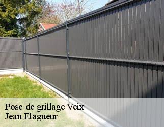Pose de grillage veix-19260 Jean Elagueur