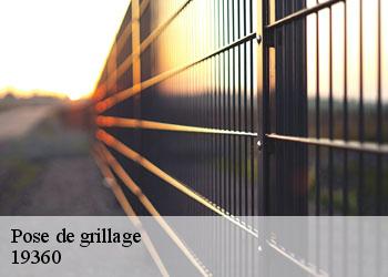 Pose de grillage 19360