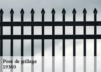 Pose de grillage 19360