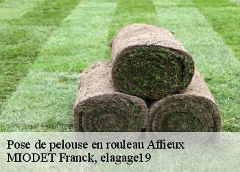 Pose de pelouse en rouleau  affieux-19260 MIODET Franck, elagage19