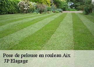 Pose de pelouse en rouleau aix-19200 JP Elagage