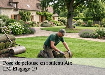 Pose de pelouse en rouleau 19200