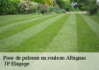 Pose de pelouse en rouleau albignac-19190 JP Elagage