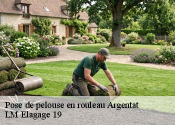 Pose de pelouse en rouleau  19400
