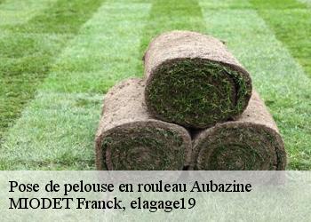 Pose de pelouse en rouleau  aubazine-19190 MIODET Franck, elagage19