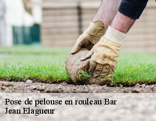 Pose de pelouse en rouleau bar-19800 Jean Elagueur
