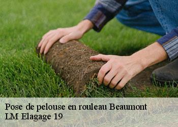 Pose de pelouse en rouleau beaumont-19390 LM Elagage 19