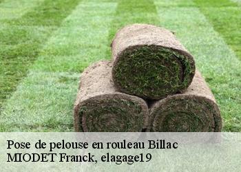 Pose de pelouse en rouleau  billac-19120 MIODET Franck, elagage19