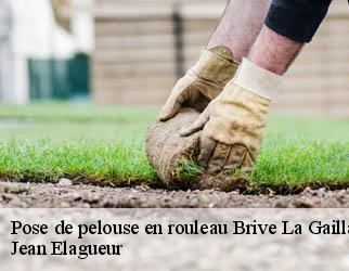 Pose de pelouse en rouleau brive-la-gaillarde-19100 Jean Elagueur