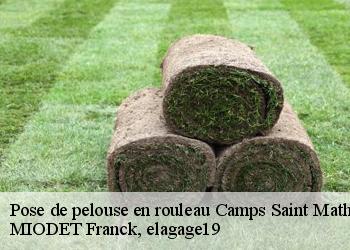 Pose de pelouse en rouleau  camps-saint-mathurin-leobaze-19430 MIODET Franck, elagage19