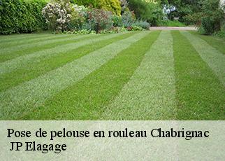 Pose de pelouse en rouleau chabrignac-19350 JP Elagage