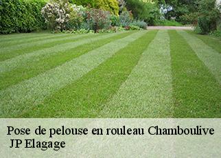 Pose de pelouse en rouleau chamboulive-19450 JP Elagage