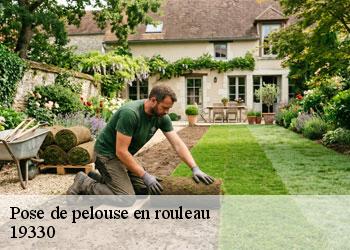 Pose de pelouse en rouleau 19330