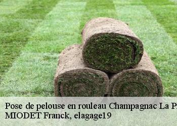 Pose de pelouse en rouleau  champagnac-la-prune-19320 MIODET Franck, elagage19