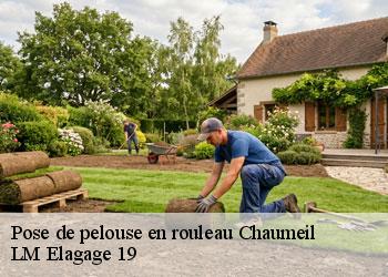 Pose de pelouse en rouleau  19390