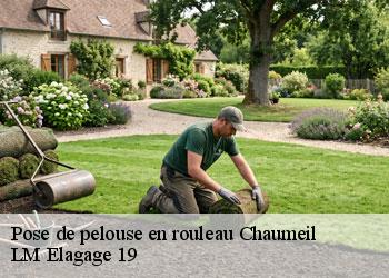 Pose de pelouse en rouleau  19390