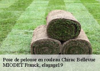 Pose de pelouse en rouleau  chirac-bellevue-19160 MIODET Franck, elagage19