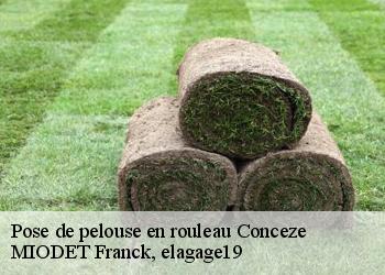 Pose de pelouse en rouleau  conceze-19350 MIODET Franck, elagage19