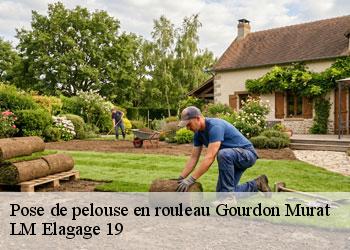 Pose de pelouse en rouleau  19170