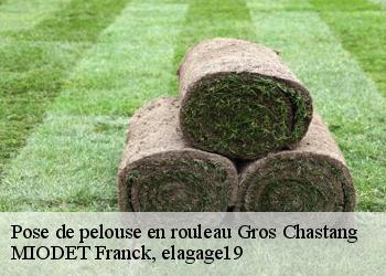 Pose de pelouse en rouleau  gros-chastang-19320 MIODET Franck, elagage19