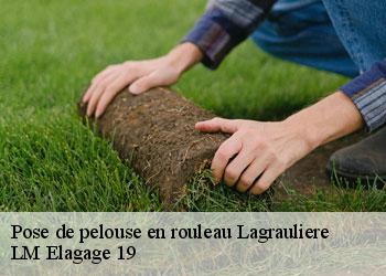 Pose de pelouse en rouleau lagrauliere-19700 LM Elagage 19