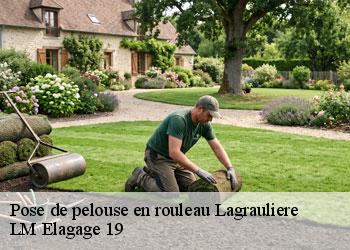 Pose de pelouse en rouleau 19700