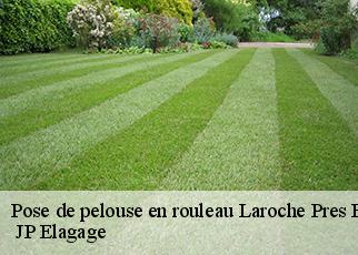 Pose de pelouse en rouleau laroche-pres-feyt-19340 JP Elagage
