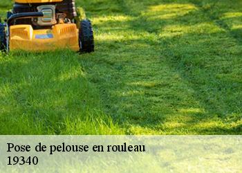 Pose de pelouse en rouleau 19340